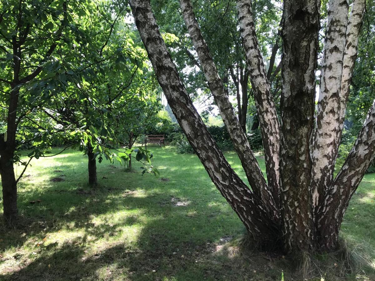 Pokoje Pod Debami Kazimierz Dolny Luaran gambar