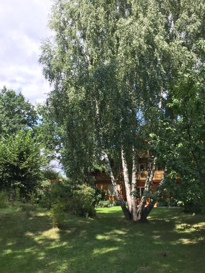 Pokoje Pod Debami Kazimierz Dolny Luaran gambar