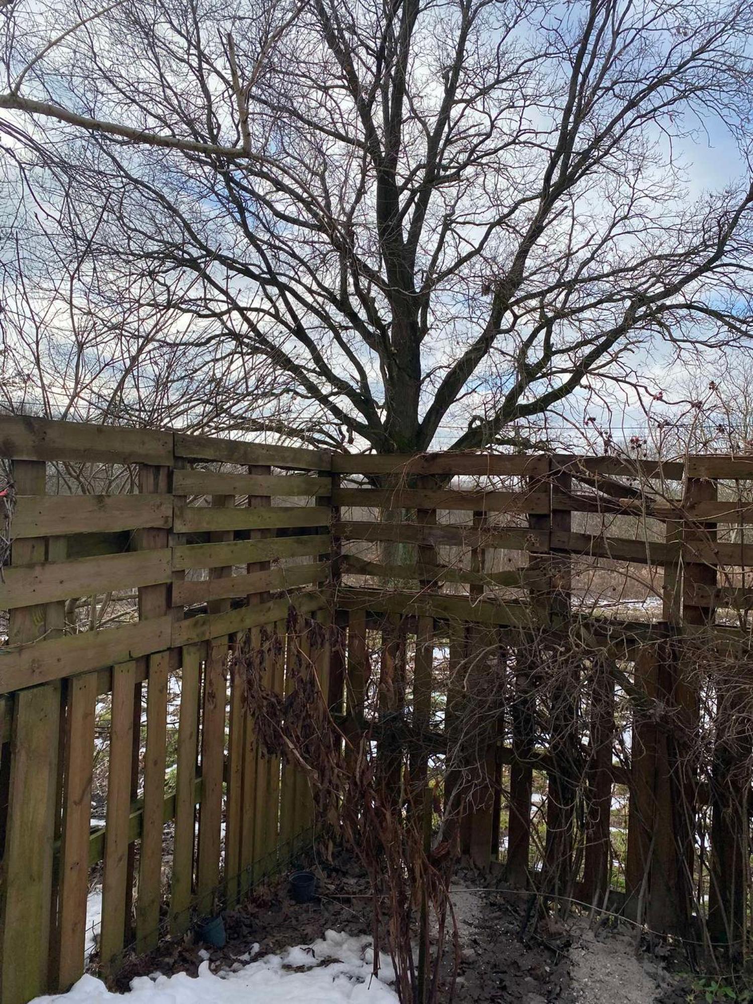 Pokoje Pod Debami Kazimierz Dolny Luaran gambar